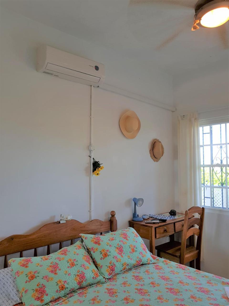 Trellis House Apartman Caye Caulker Kültér fotó