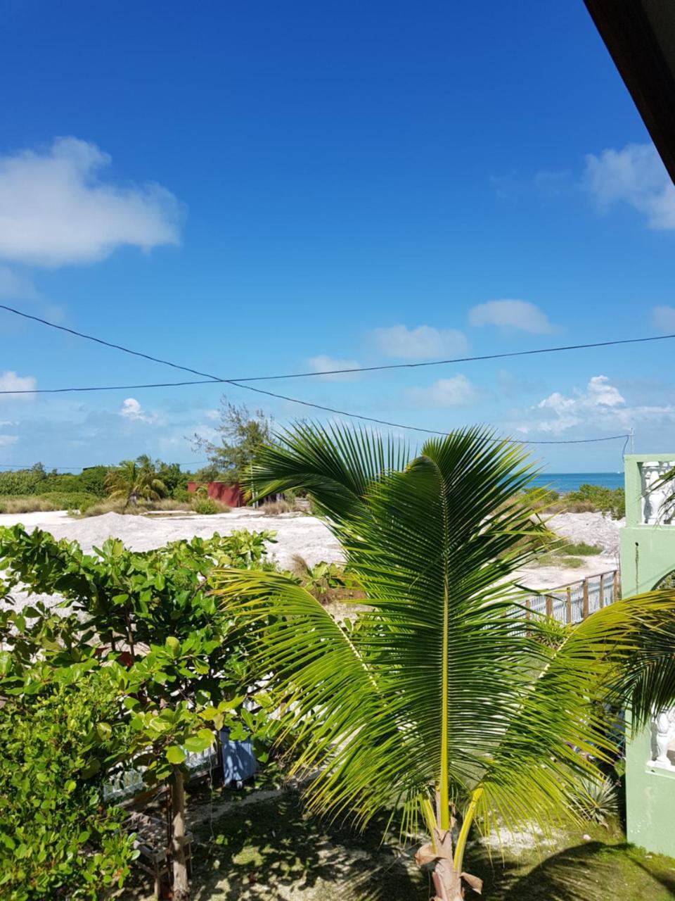 Trellis House Apartman Caye Caulker Kültér fotó